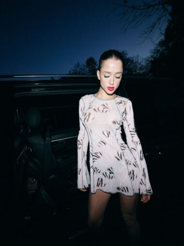 Vogue Mesh Dress
